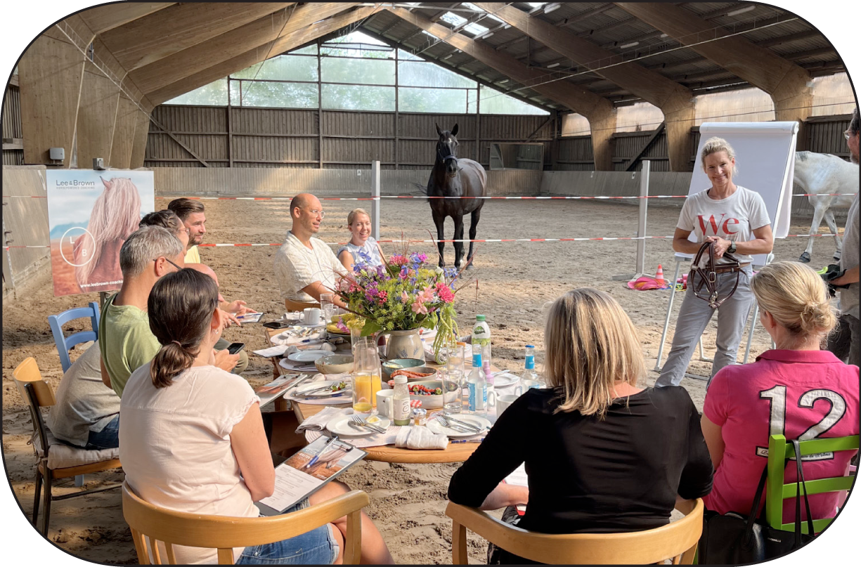 Coaching-Events mit Pferden - Mareile Braun