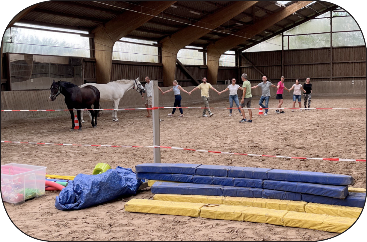 Coaching-Events mit Pferden - Mareile Braun